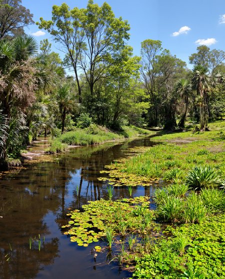 nature photo of a swamp land ,  <lora:amateurphoto-6version:1> <lora:detailer_flux_v1:1> detailerlora
