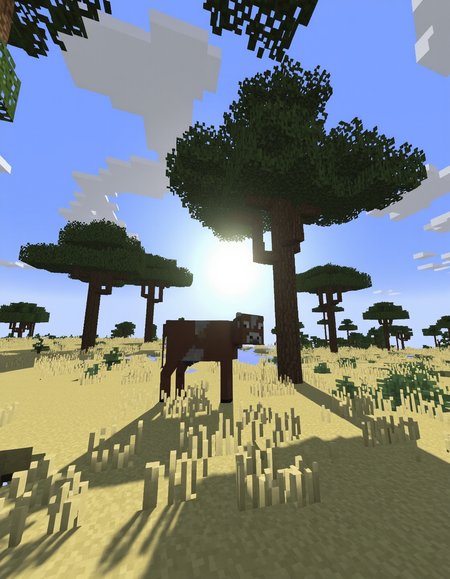 Preview undefined