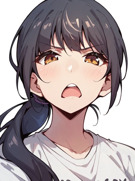 score_9, score_8_up, score_7_up,  
1girl, brown eyes, black hair, ponytail, face, close-up, white background, t-shirt,


looking at viewer, frown, open mouth, narrowed eyes,
