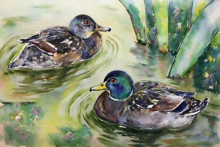watercolor. 
Two ducks are swimming in a pond. The duck on the right is a mallard, identifiable by its green head, brown body, and white neck ring. Its feathers are dark brown, black, and green, with subtle hints of iridescence.
 <lora:watercolor1_nbm_cap_d6a3e12:1.0><lora:838794073671407117:0>