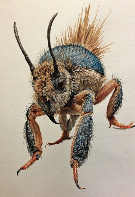 Crested tintling, pencil drawn, colored, extremely detailed, grain, (((watercolor and ink sketch))), watercolor, inkstains, very low saturation,