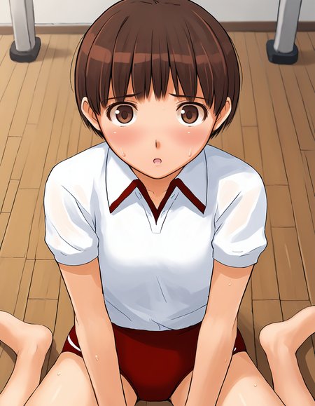 score_9, score_8_up, score_7_up, score_6_up, score_5_up, score_4_up, <lora:NarumiS_T1V0:0.85>, <lora:sdxl_lightning_8step_lora:1>,
source_anime, 1girl, solo,
NarumiS_T1V0, brown hair, short hair, brown eyes, 
gym uniform, 
white shirt, polo shirt, short sleeves, open collar, red buruma, 
sitting, on floor, wariza, 
looking at viewer, blush, parted lips, :o, sweat, 
indoors, gym, wooden floor, from above,