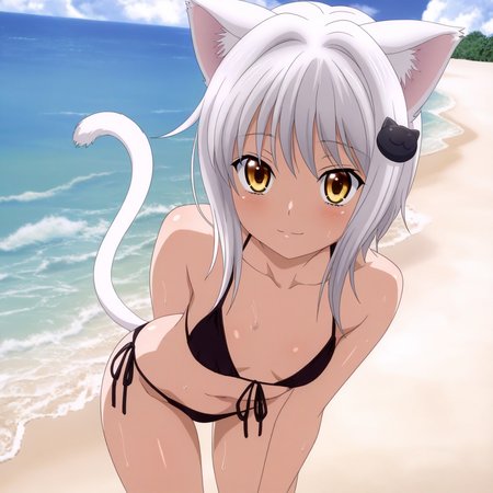 Preview 128302306
