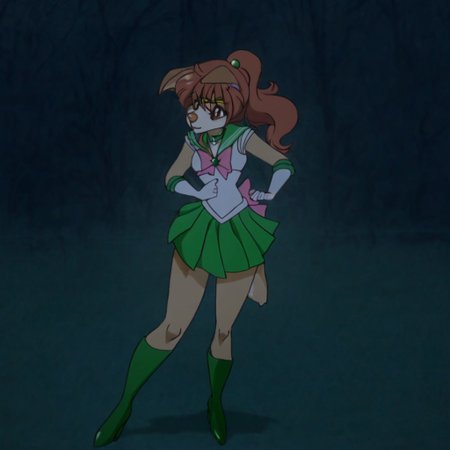 Dan1ka,1girl,solo,furry,furry female,dog girl,dog ears,brown hair,ponytail,long hair,hair between eyes,brown eyes,snout,animal nose,collar,body fur,dog tail, hair ornament,, flower earrings, circlet, sailor senshi uniform, magical girl, green choker, green sailor collar, pink bow, white gloves, elbow gloves, green skirt, pleated skirt, pink back bow, green footwear, high heel boots, full body, outdoors, street