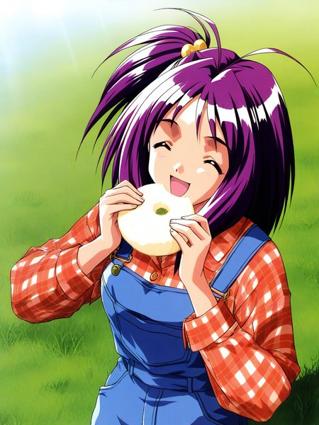 general,highres, ultra-detailed,very aesthetic,best quality ,best hands, BREAK <lora:Kotobuki_Miyuki_Tokimeki_Memorial2_IS:1>
Kotobuki_Miyuki(Tokimeki_Memorial2), 1girl, solo, bangs, purple hair, short hair, brown eyes, antenna hair,ãshort,
overalls, closed eyes, hair bobbles, hair ornament, 
smile, food, one side up, shirt, plaid, short hair, plaid shirt, ^_^, happy,
grass, sky, day,
