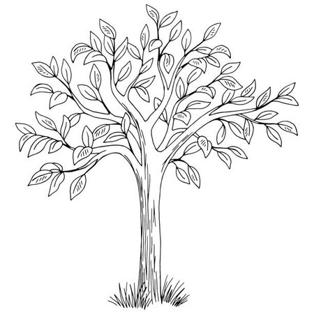 Preview 215951