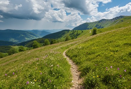 (no human:1.18), scenic wide open alpine landscape, flowering juicy mountain meadow at springtime, Pontic Mountains, Southern Carpathians, (butterflies:1.14), group of  birch trees, (Winding trail) Steep, narrow path, disappearing into the mountainside,  
(Mountain wildflowers: Red clover (Trifolium pratense) 
(clouds dapple sunlight, rain in the distance,:1.18)
,(trending:1.19) (masterpiece:1.08), (high image quality:1.08), (RAW:0.93),high definition,    p4,s9