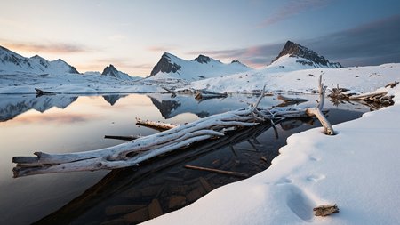 A cinematic scenic photography of the view On a secluded high-alpine tarn ringed by petrified driftwood. At winter dawn, pale blush light glints on frozen driftwood, each breath hisses into frigid air, and the tarn lies hidden under fresh snow. ,, masterpiece, best quality, amazing quality, very aesthetic, high resolution, ultra-detailed, absurdres, scenery, film grain, HDR, 8K, high contrast, realistic, cosplay, muted lithing, sharp focus, (chromatic aberration), fine details,