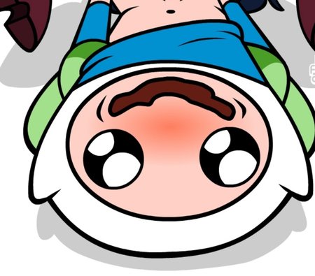 Finn