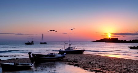 ((masterpiece)), (realistic), (sunset:1.2), (seascape:1.2), (colorful sky), (seagulls:1.1), (beach:1.1), (waves:1.1), (rocks:1.1), (boats:1.1), (reflection:1.2), (silhouette:1.2), (harbor:1.2), (peaceful:1.1), (serene:1.1), (tranquil:1.1), (calming:1.1), (harmonious:1.2),
The sun was setting over the horizon, painting the sky in a breathtaking array of colors. Shades of pink, orange, and yellow blended together to create a vibrant and colorful sky. Seagulls flew gracefully overhead, their wings casting shadows on the calm waters below. The beach was a peaceful and serene place, with waves gently lapping at the shore. Smooth rocks scattered along the coastline, providing a perfect spot for a quiet moment of reflection. Boats floated in the harbor, their masts creating silhouettes against the colorful sky. The reflection of the sky in the water created a harmonious and tranquil atmosphere. As the sun disappeared below the horizon, the sky turned darker, but the sense of calm remained, leaving a feeling of peacefulness and contentment.