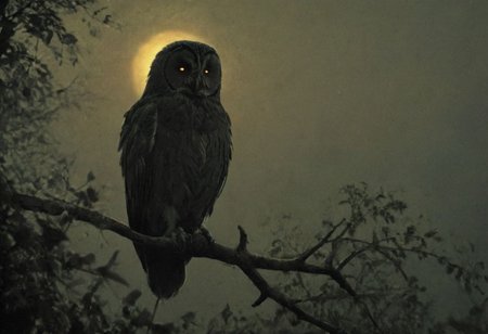 silhouette style, cinematic film still of the silhouette of an owl sitting on a branch at night, very detailed, haze lighting, backlit, 4k uhd masterpiece , style by Greg Rutkowski, by Milo Manara and Russ Mills, with insanely intricate details and textures, gloomy dramatic lighting, , dark, chiaroscuro, low-key,in the style of Kelly Slater ,style by Kelly Slater,closeup,digital artwork by Beksinski, style of Kelly Slate