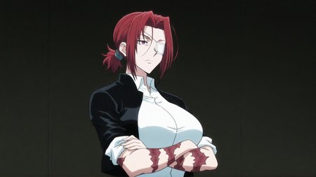 Hunter x Hunter (2011) Anime Style