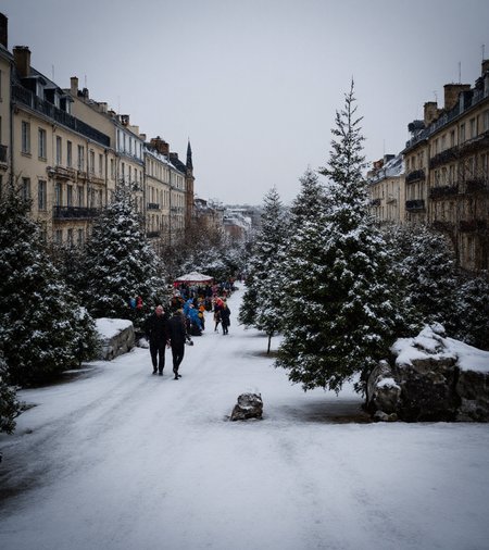 Artsy Photo, raw photo, digital photo, outdoors, Paris,  squares, Christmas trees, (snowy, snow storm, snowflakes:1.4),  (insane details:1.4), detailed background, crowd,   <lora:detailifier_sd3.5:1.4>,  <lora:Artsy_Photo:1>