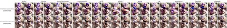 Preview 11164406