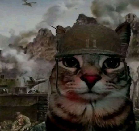 RIco