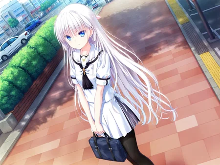Preview 80894701