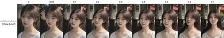 Preview 2727259