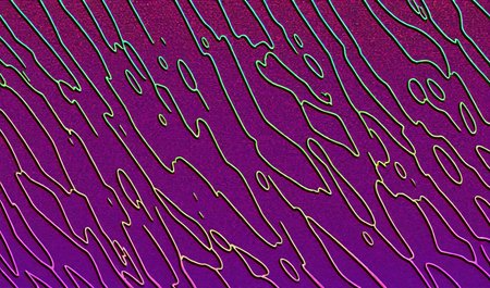 solo, realistic, masterpiece, colorful background, high contrast, impossible patterns, 

no humans, no subject, 