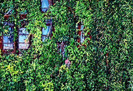 a open Sinoink window with beautiful tree outside,