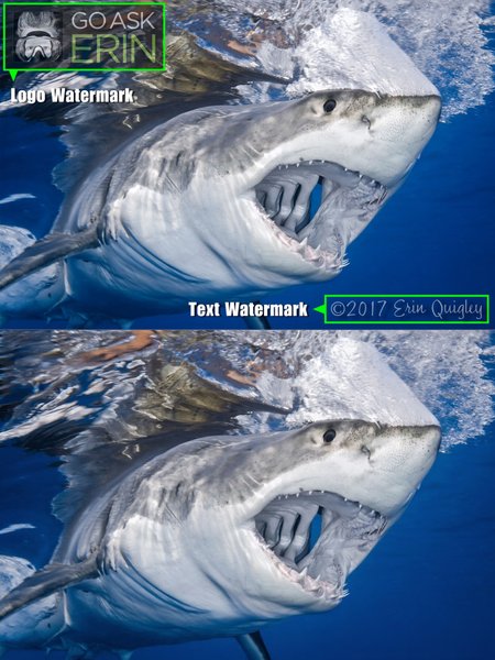 Preview undefined