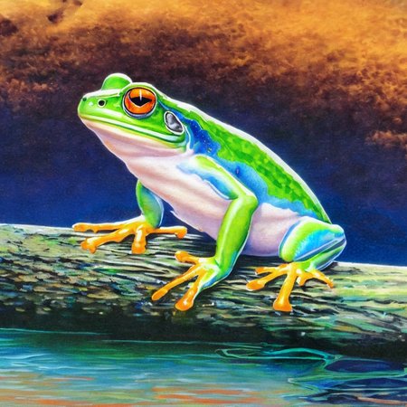 A lonely frog sitting on a log alone alone in a bubbling stream  SCG768-illustrate