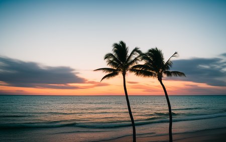 sea shore, beach, palm trees, sunset, art by photohelper, wide angle, waves, clouds
