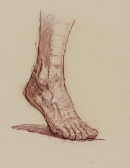 Art by Patrick Jones. A realistic, detailed, realistic pencil drawing of a male foot, showing the soles and toes. the foot appears to be completely nude, with a smooth, elongated shape and a slightly wrinkled texture, and is positioned in the center of the frame. the focus is on the foot and the texture of the skin, which is detailed and realistic. the background is a plain, beige-colored paper, which serves as a neutral backdrop for the drawing. the image also shows a slight shadow, which adds to the sense of depth and dimension to the overall composition.
Shading, Freehand Drawing, Loose Lines, Gestural, Outline.