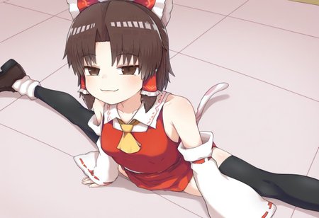 best quality, masterpiece, from above,
1girl, solo, benikirage \(cookie\), (hakurei reimu:0.5),
 parted bangs, zettai ryouiki, nontraditional miko,
front sitting split, :3, smug, 
skinny, cat tail, dynamic pose,