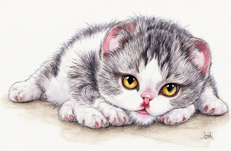 Sharp image of a rough sketch, rendered in vibrant multi colour ballpoint pen, capturing the adorable features of a close-up of a cat lying on a concrete surface. The cat appears to be a Scottish Fold breed, with white and black stripes on its body. It has a round face with yellow eyes and a pink nose. Its ears are perked up and its mouth is slightly open, as if it is looking directly at the camera. Its paws are stretched out in front of it, and it is resting its head on its front paws. The background is blurred, so the focus is on the cat's face.  p3nsk, <lora:p3nsk:1>