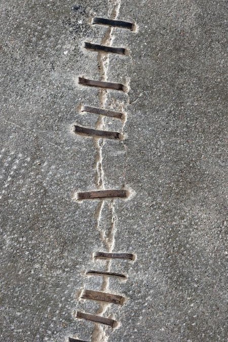 Pollen 0.1