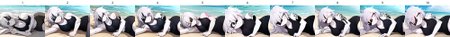 Preview 3937972