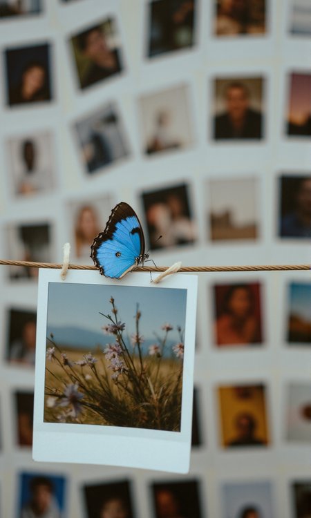 Polaroids hanging on a clothesline;  The background is a grid of other Polaroids and photos by different artists.  The focus is on the clothesline, on which a blue butterfly rests.<lora:flux1-D\araminta_k_flux_koda.safetensors:0.8:1.0> <lora:flux1-D\flux.1_lora_flyway_Epic-detail_v2.safetensors:0.8:1.0>