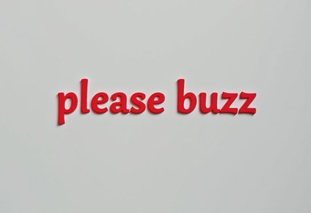 it says "please buzz" in plain red text on a gray background