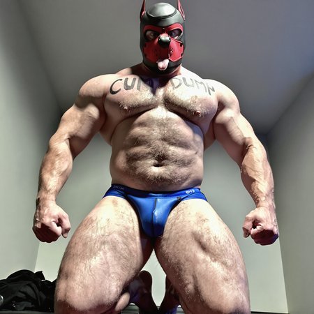 Preview 114326384