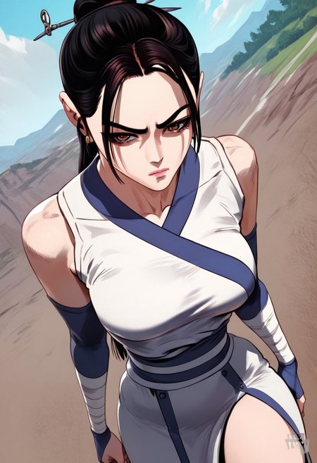 zPDXL2, score_9_up, score_8_up, score_7_up, (Anime_source), high detail face, best quality, absurd res, 1girl, DangHwaryeon, brown eyes, black hair, long hair, topknot, martial art clothes, windy, landscape on background, from above, dutch angle, looking at viewer, cowboy shot, closed mouth