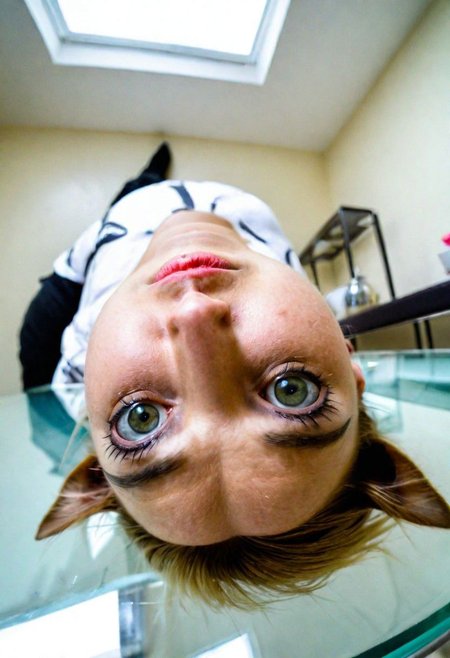 cat laying on glass table, looking suspicious with a criminal side eye, from below, fisheye lens