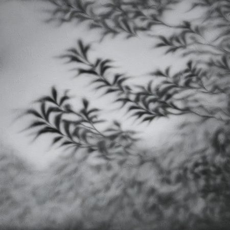 shadow paint