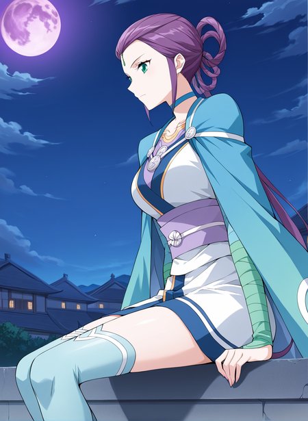 <lora:Feng_Qing_Er__Battle_Through_the_Heavens__Illustrious:1>
1girl, solo, purple hair, braided bun with hair tail, hair rings, hair bun, side bangs, forehead jewel, green eyes, anime style, blue and white outfit, oriental dress, short dress, battle robe, split sleeves, shoulder cape, high collar, gold accents, sash belt, blue thighhighs, thigh-high boots, zigzag trim, symbol buttons, gemstone accessory, martial artist, blue choker
score_9, score_8_up, score_7_up, score_6_up, source_anime, masterpiece, best quality, absurdres, highres, newest, anime coloring <break>  1girl, solo, sitting, on wall, from side, town, night sky, cloud, night, purple moon