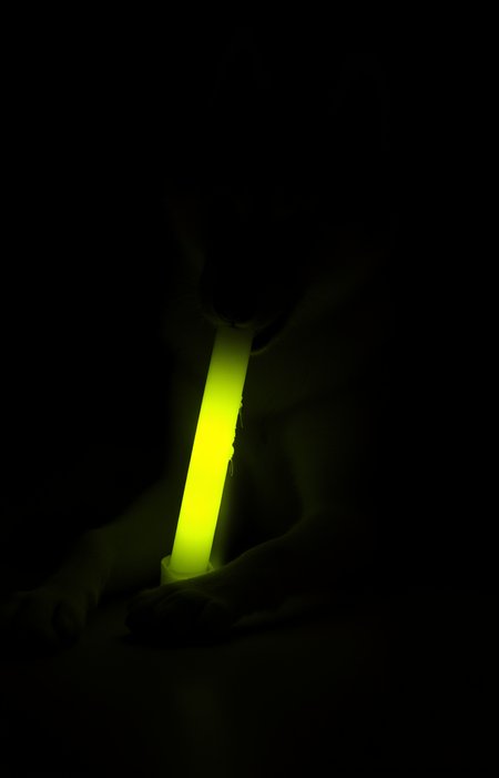 Preview 27529635