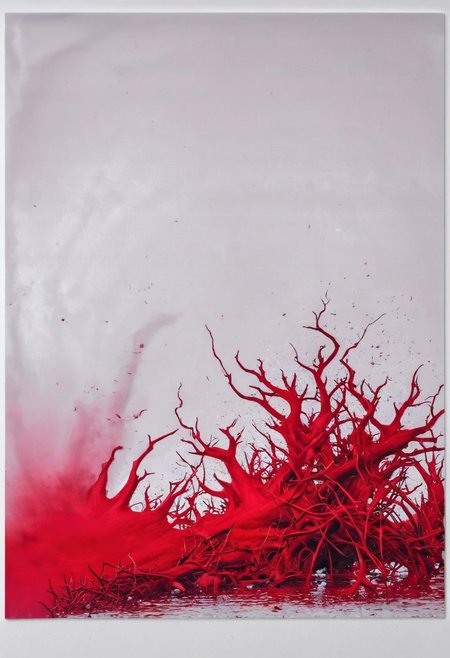 red chaos