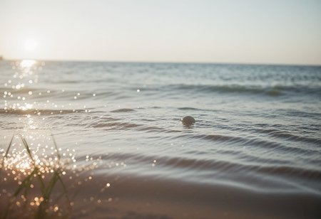 scenic lonesome beach scene, focus on ripples sand, Early morning mist, grayish light, soft, diffused illumination, dew reflecting the muted hues, dew drops, dew-damp spider webs on grass of meadow grainy sand, detailed sand grains, bokeh, ripples, low ocean waves, 
((edge detection:1.26) (blur:1.0)), 
<lora:sdxl\zy_Realism_Enhancer_v1.safetensors:0.85:0.18>  
p7,s1