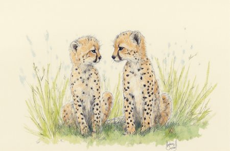 Sharp image of a rough sketch, rendered in vibrant multi colour ballpoint pen, capturing the adorable features of two cheetah cubs sitting in a grassy field. The cubs are facing each other and appear to be looking towards the right side of the image. They are sitting close together, with their heads slightly tilted to the side. The cheetahs have light brown fur with black spots, and their eyes are dark and alert. The background is blurred, but it appears to be a savanna landscape with tall grass and shrubs. The overall mood of the photo is peaceful and serene.  p3nsk, <lora:p3nsk:1>