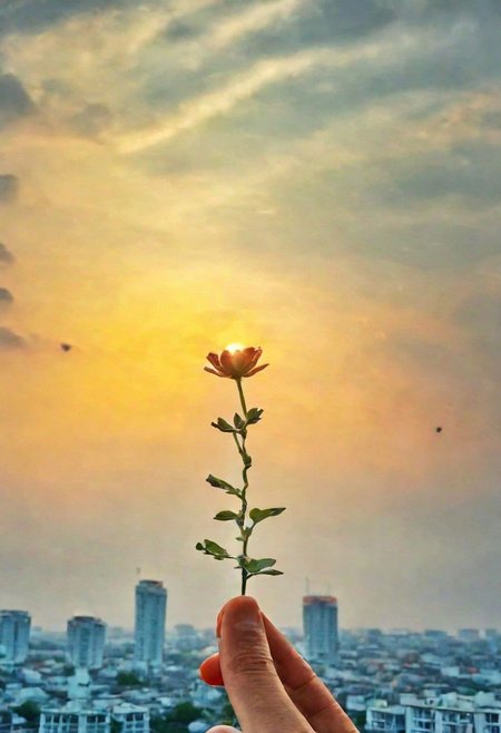 F-B-C, POV, foreground:  a hand holding a flower stem , background: sunset above city , effect: the sun as a flower