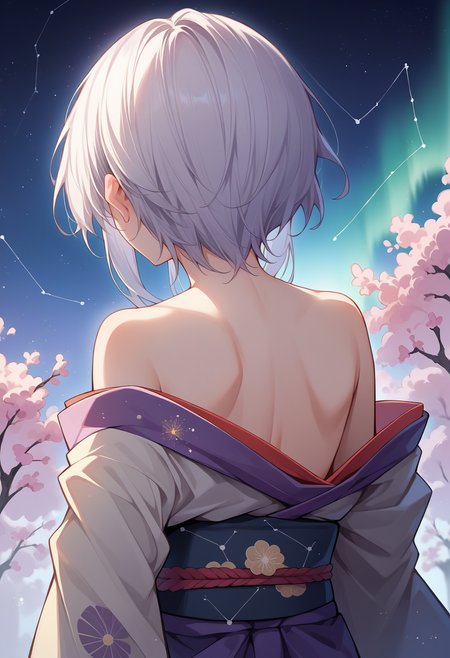 score_9, score_8_up, source_anime, 1girl, solo, HimejiShirayuki, medium hair, sidelocks, aurora, back, bare back, bare shoulders, constellation, from behind, kimono, light particles, long sleeves, off shoulder, <lora:ChamHimejiShirayukiPonyXL:1>