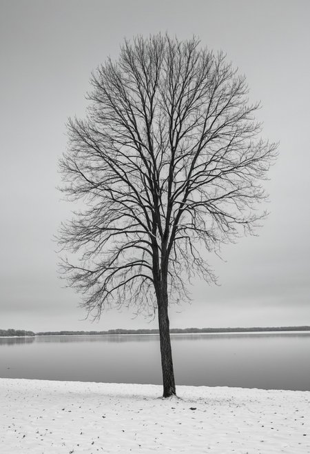 ((sideview)), masterpiece, high quality, RAW photo, reflection, outdoors, no humans, monochrome, scenery, water lake, bare tree, boat, photo, serene, snow-covered winter landscape. solitary tree standing on a thin strip of land, which is the only visible vegetation The tree, devoid of leaves, is tall and bare, its branches reaching out in a symmetrical pattern, creating a stark silhouette against the pale, overcast sky. ground is blanketed in a thick layer of snow, creating a pristine, white expanse that extends from the tree towards the viewer., photorealistic, 8K, highly detailed, (snowing)