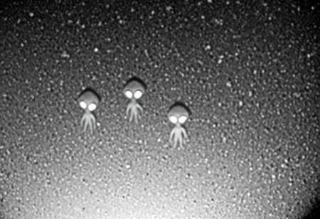 aliencctvlora, black and white nighttime cctv footage of two thin gray aliens skulking around the backyard of a suburban home, (thin bodies:1.2), (big bulbous heads:1.4), tall, long thin arms, thin fingers, long thin necks, (big black eyes:1.4), realistic, grainy cctv, dark footage, dynamic action, candid, olddigitalcamera, raw, light leak, film grain, (jpeg artifacts:0.5), low res