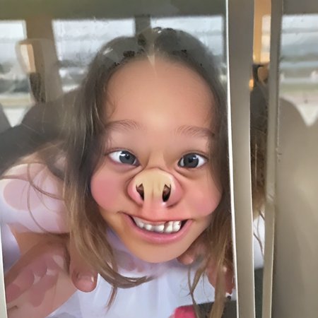 Pig Nose Against Window