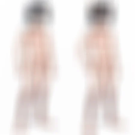 Preview 134264657
