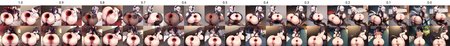 Preview 2416417