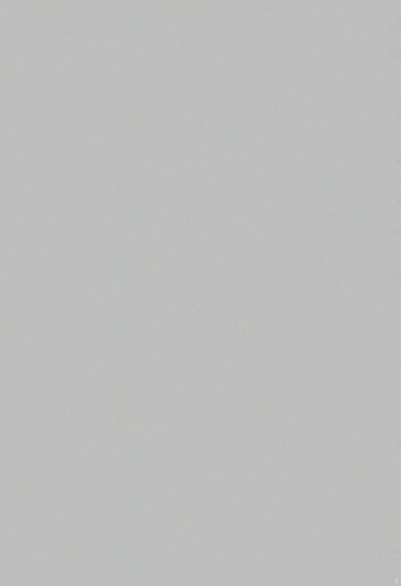 score_9, minimalism, greyscale, rooster, Stylized